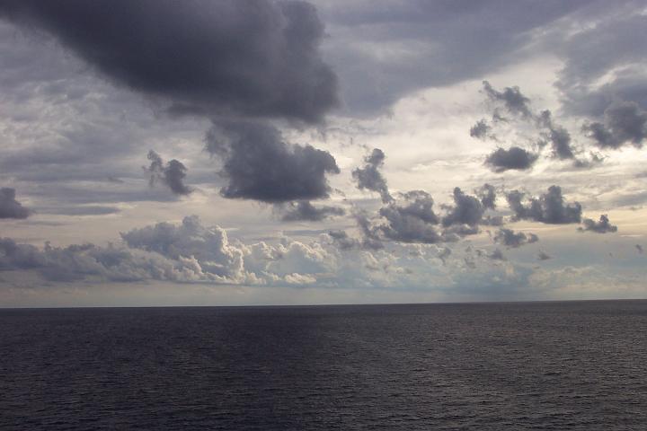 In the sea4.JPG